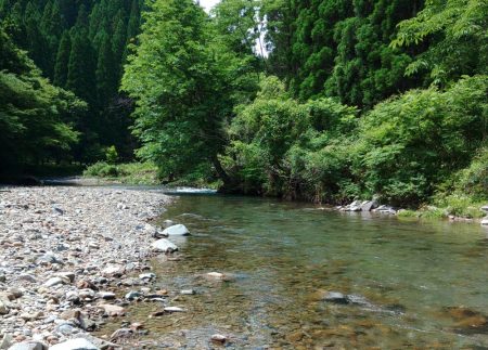 渓流でアマゴ狙い ～長良川水系～